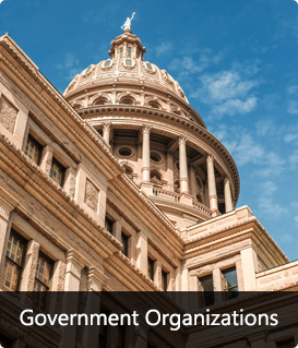 Government Organizations